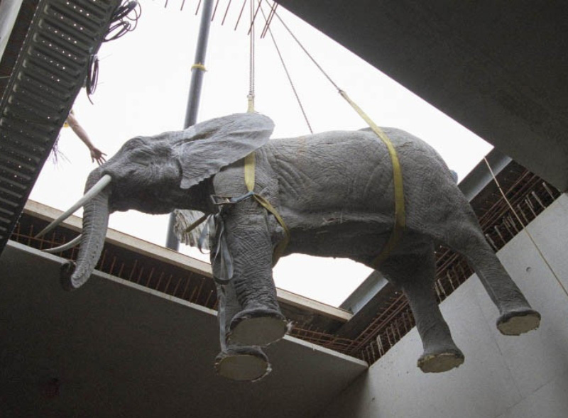 Anekdote Grote Olifant