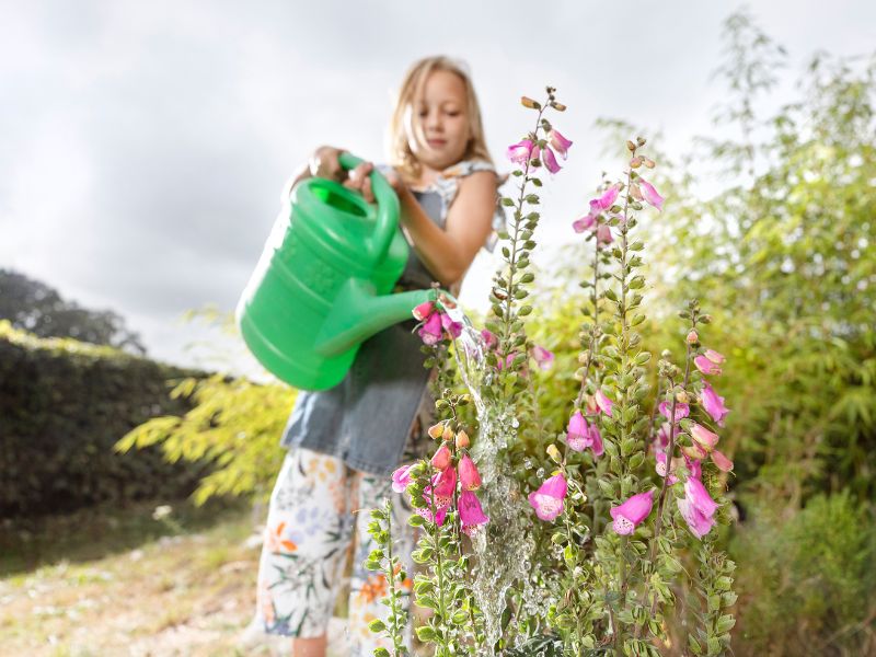 Tuin van de toekomst actief lesprogramma Nederlands Watermuseum